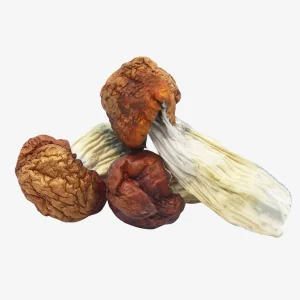 Blue Pulaski Magic Mushrooms