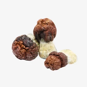 Bluey Vuitton Magic Mushrooms