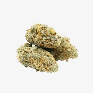 Honey Cream Cannabis (Indica)