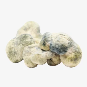 Leucistic Burma Magic Mushrooms
