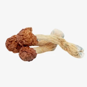 Melmac Penis Envy Magic Mushrooms