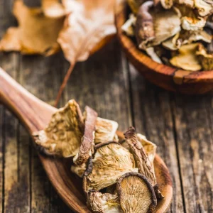 Premium Dried Mushroom Collection