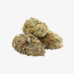 Zelato Ice Cannabis (Hybrid)